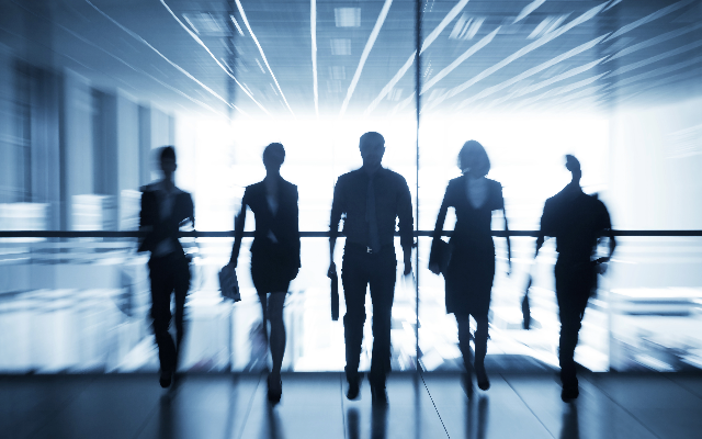 Portfolio: Management Search