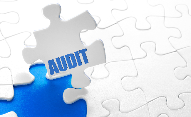 Portfolio: Management Audit